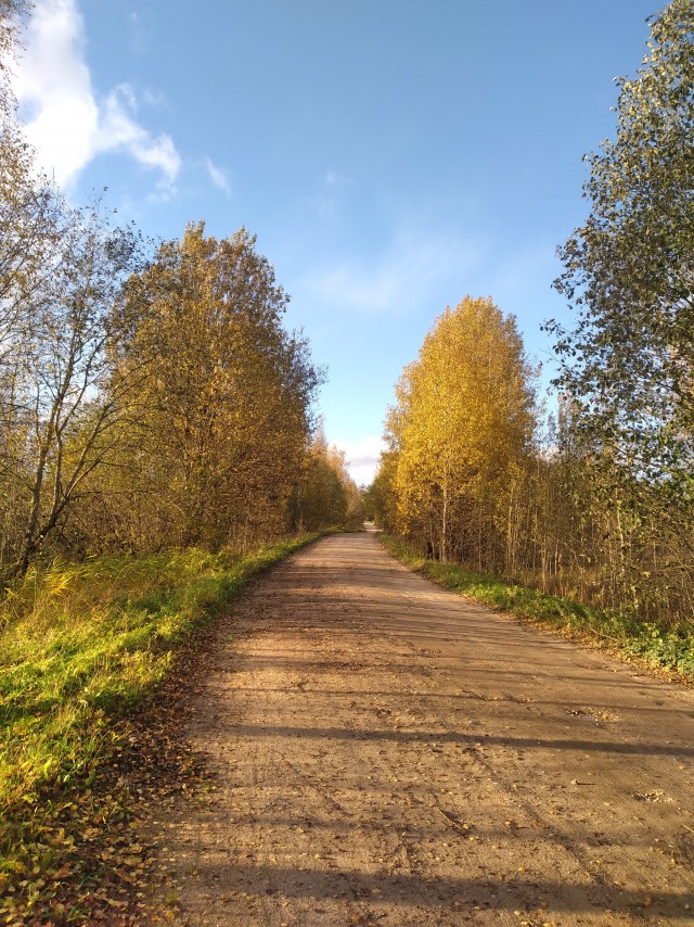 Осень