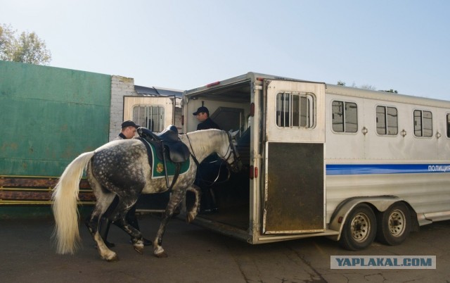 Лимузак заметили в Москве