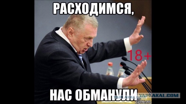 Кот на воле