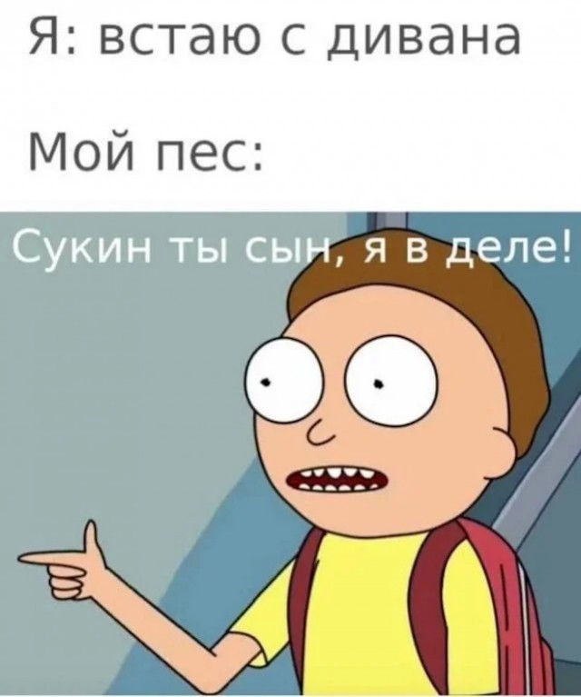 Картиночки, баянчики 17 декабря