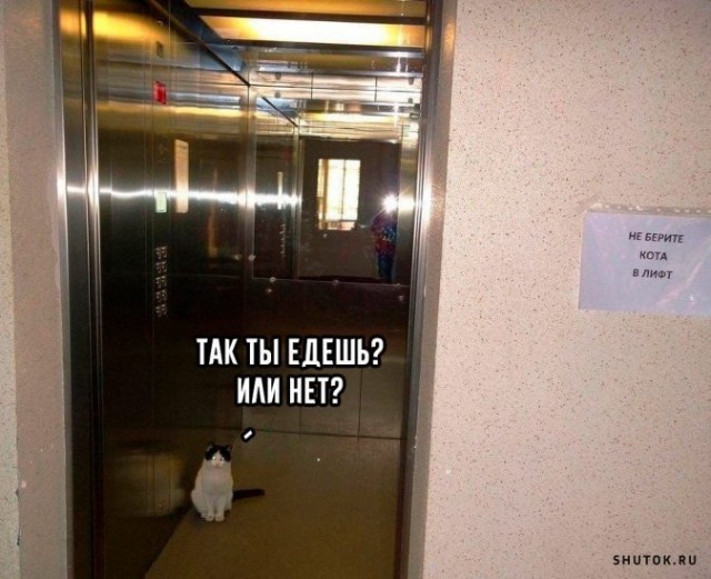 «С незнакомой девушкой будьте максимально доброжелательны»