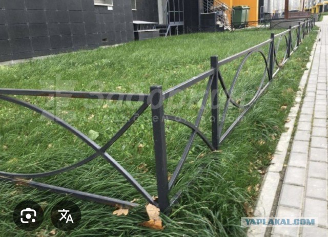 Решил постоянно вставать на газоне,и что из этого получилось.