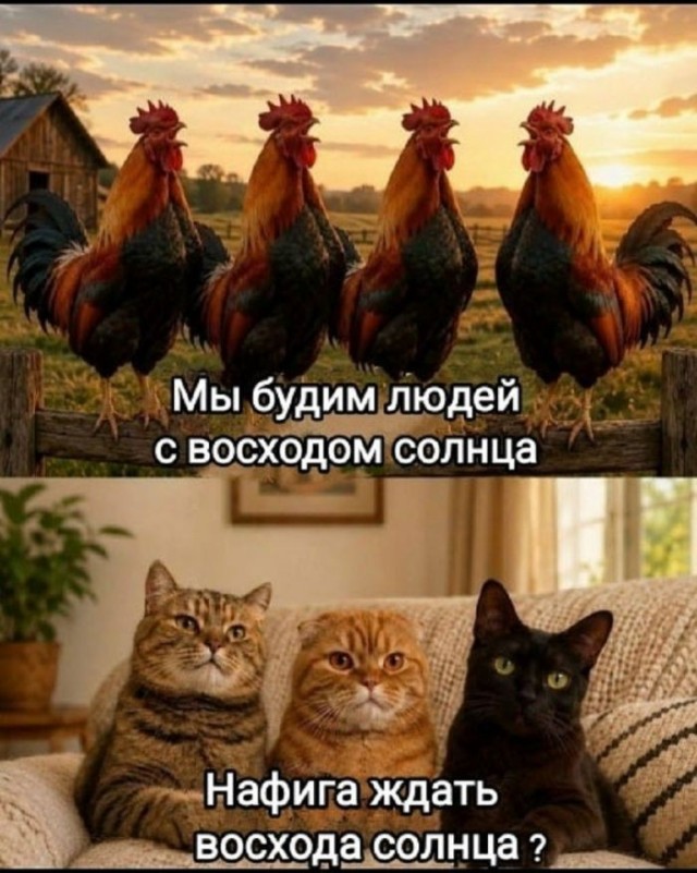 Веселые картинки в понедельник (06.07)