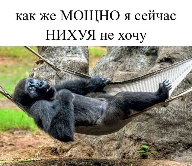 Картинки для деградации 249 (разной степени свежести)