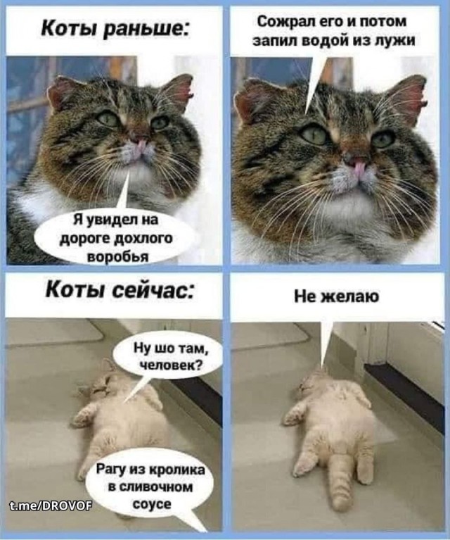 Разные картинки 03.08.26