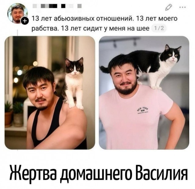 Веселые картинки в понедельник (24.08)