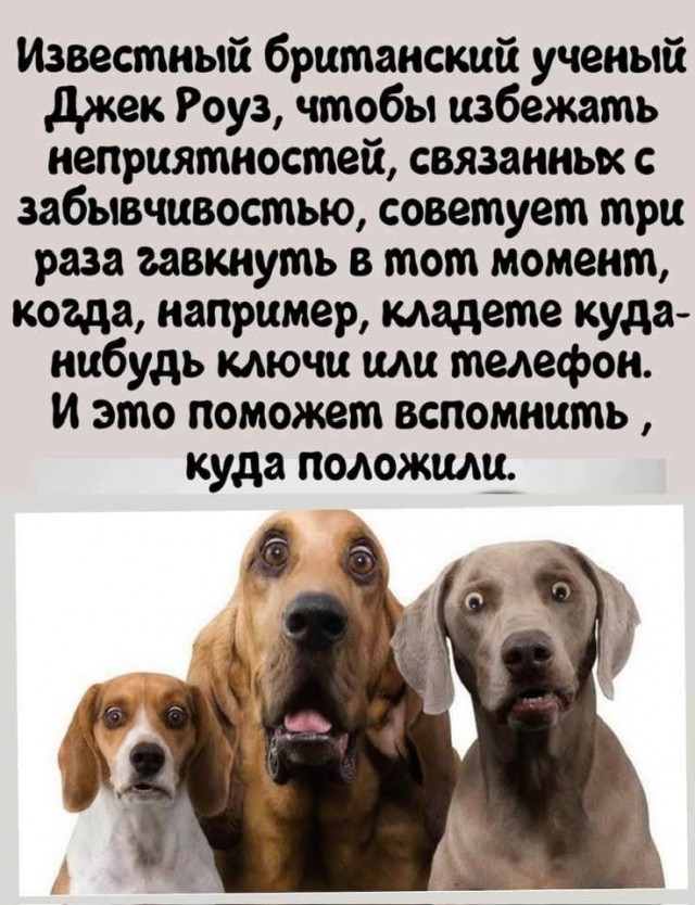 Запоминаем