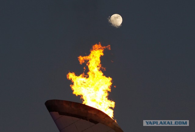 28 самых удачных кадров февраля