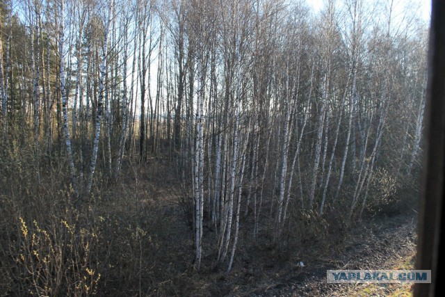 Беларусь из окна электрички