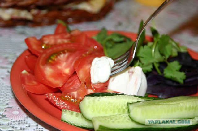 Сацыки Греко-Кипрская