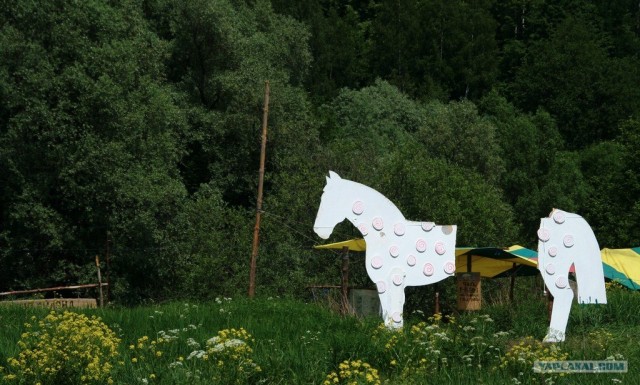 Пустые холмы 2011
