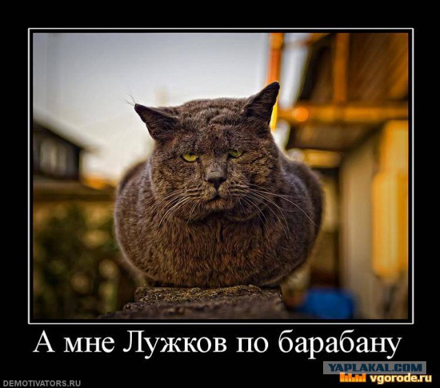 Как олигарх Порошенко за несколько месяцев довёл
