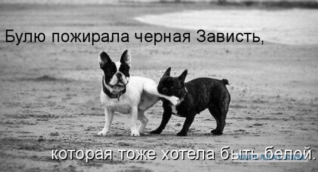 когда папка рукожоп