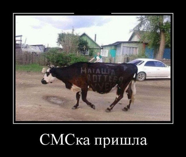 Демотиваторы.