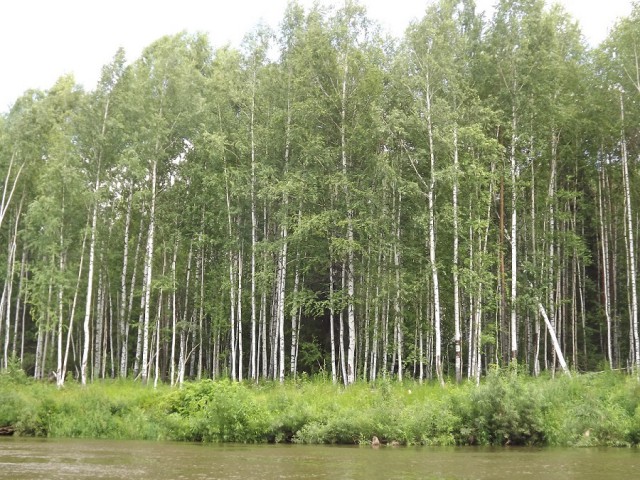 Хочу в Россию.