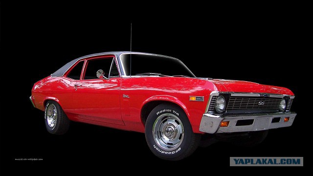 Muscle cars. История сумасшествия