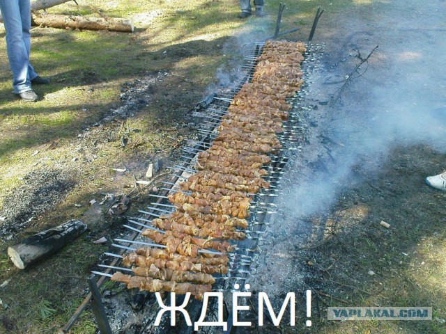 Когда кто-то плюсует твой заминусованый пост