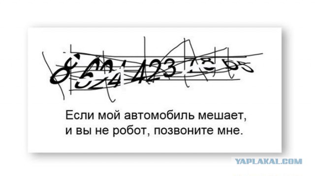 Открытки, с номером телефона в машину.