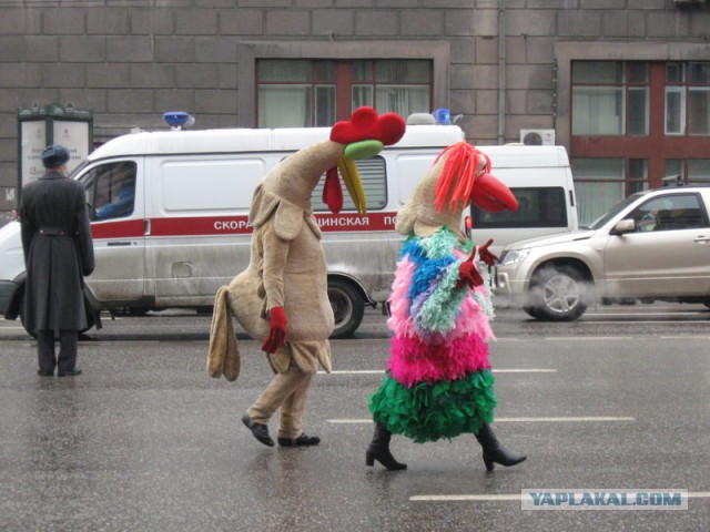 Картинки и гифки