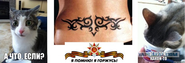 Сбылась мечта