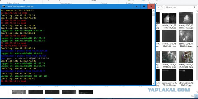 За что я люблю китайцев