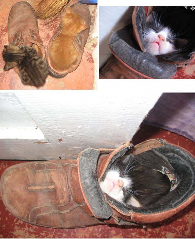 Удобная поза во время сна очень важна!