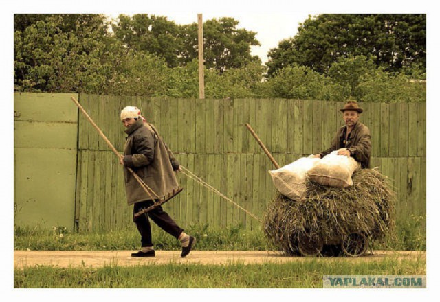 Везут же люди!