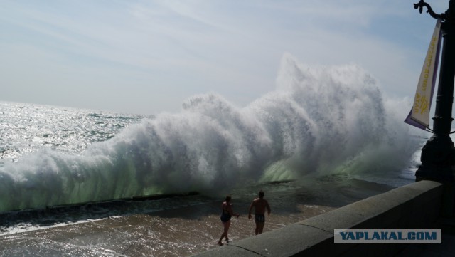 В Крыму Черное море стало желтым