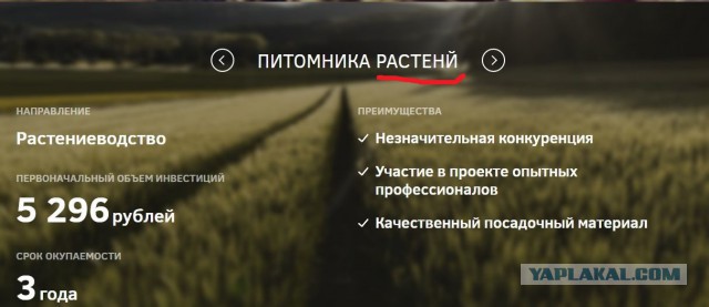 Закон о бесплатном гектаре земли на Дальнем Востоке подписан
