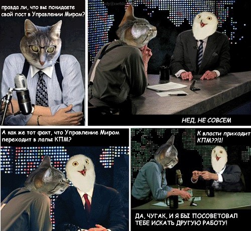 Вторничный котомёт!