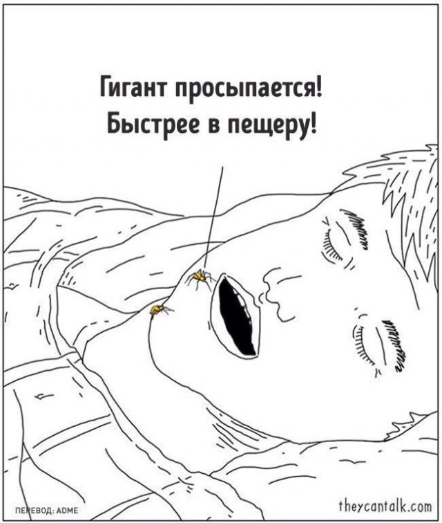 Весёлые картинки