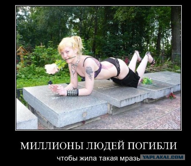 На Сахалине подростки избили школьниц, устроивших фотосессию на могилах