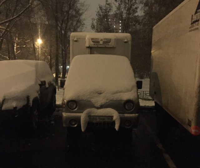 Прикольные картинки