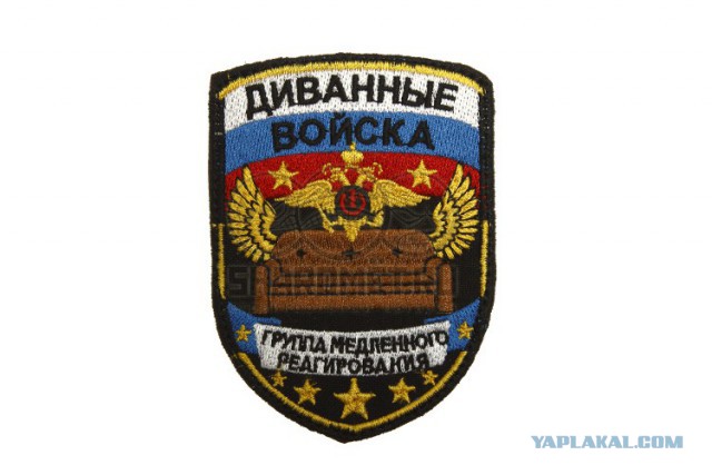 В РФ появятся казачьи кибердружины для защиты интернета от опасного контента