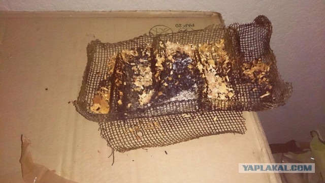 Чорисо - делаем испанскую салями холодного копчения