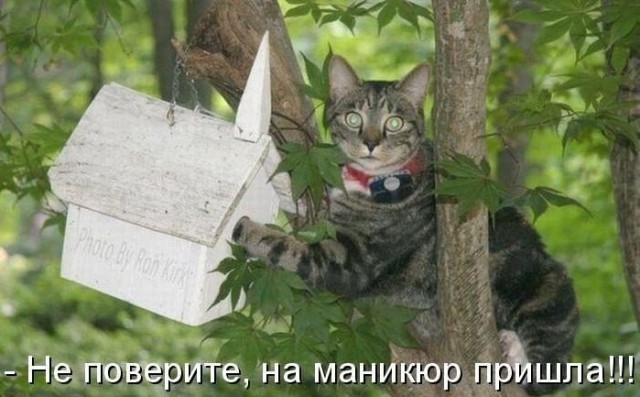 Подборка интересных и веселых картинок