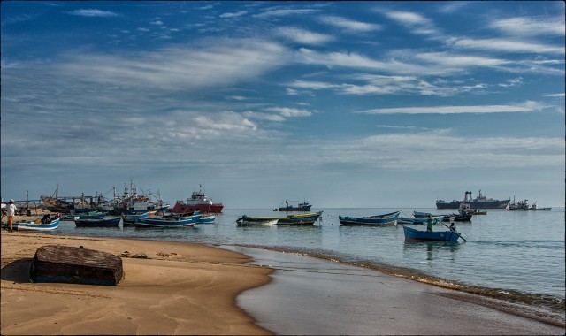 Почем в море рыба. Часть 2.