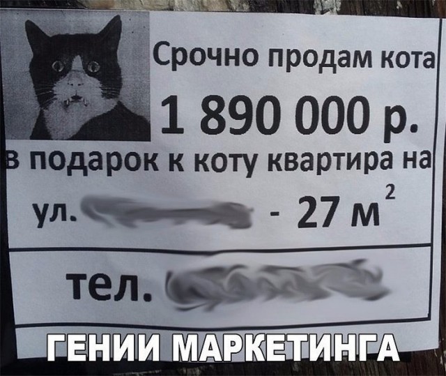 Подборка интересных и веселых картинок