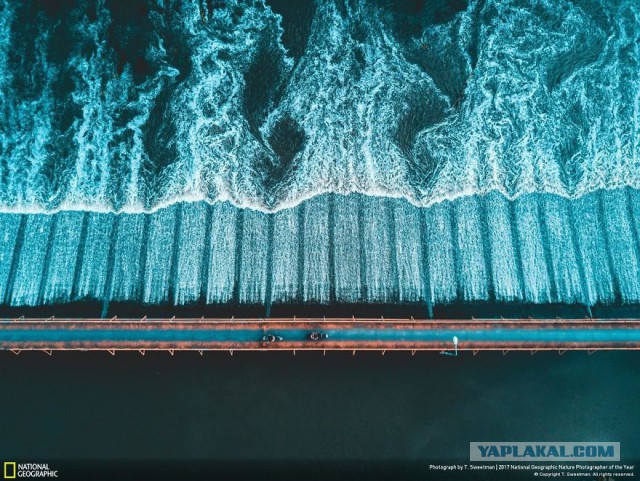 Финалисты конкурса фотографий National Geographic