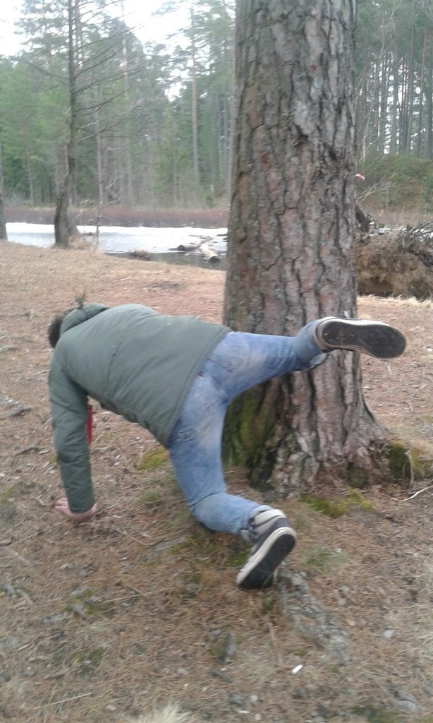 Скотсети и прочие интернеты 27.11.17