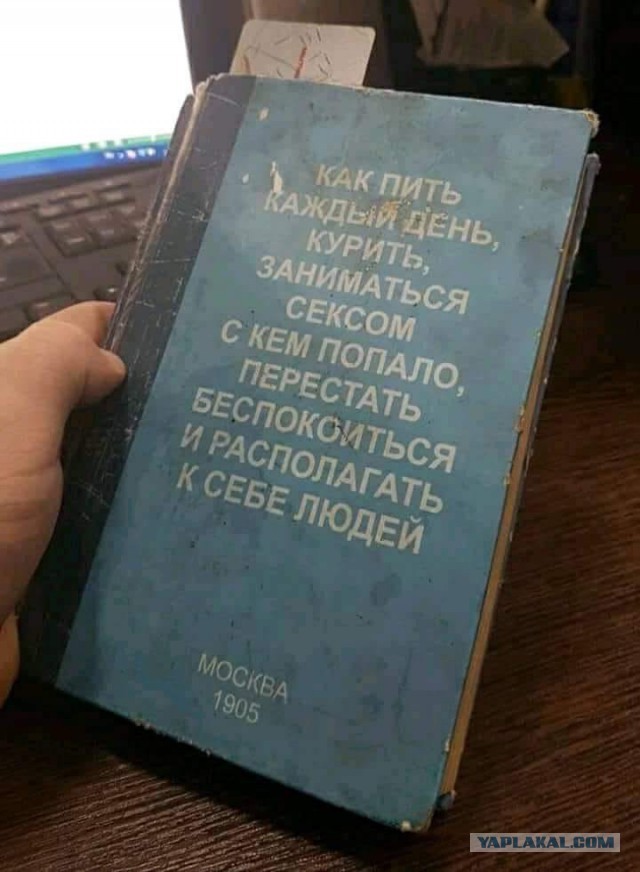 Картинки веселые и интересные