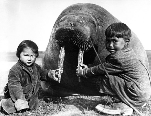Ретро-Foto-Ассорти