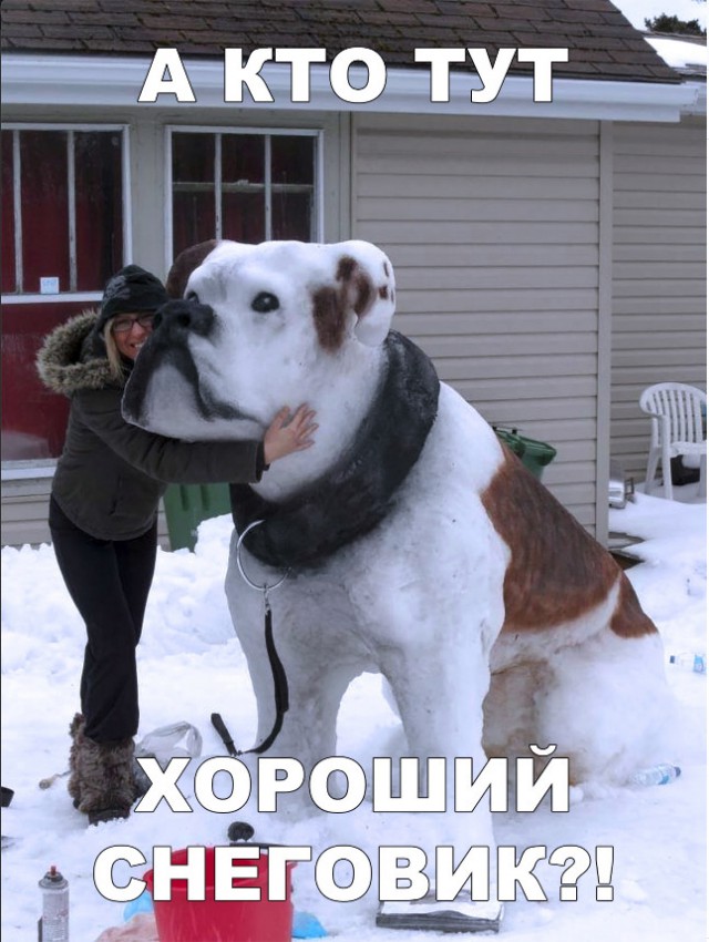 Нестандартный юмор