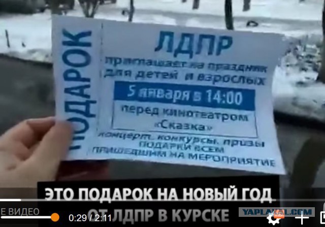 После блинов с лопаты: в Курске устроили давку из-за бесплатных конфет