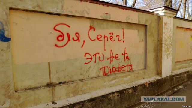 «Бродячие» философы: 17 глубокомысленных заметок в транспорте и на улицах