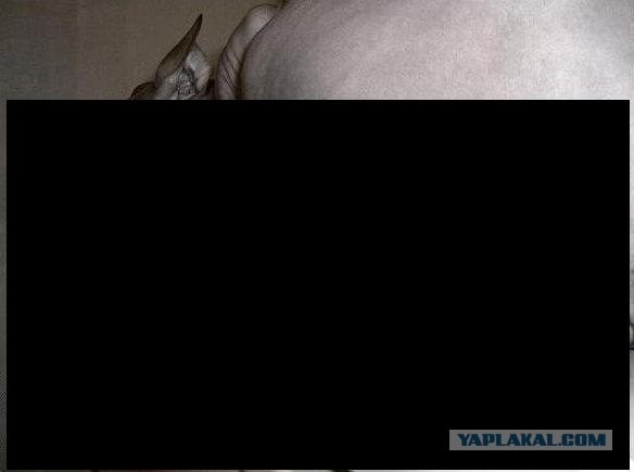 Попал под подозрение