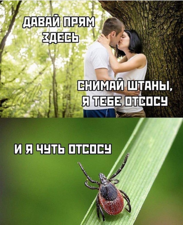 Прикольные картинки с надписями