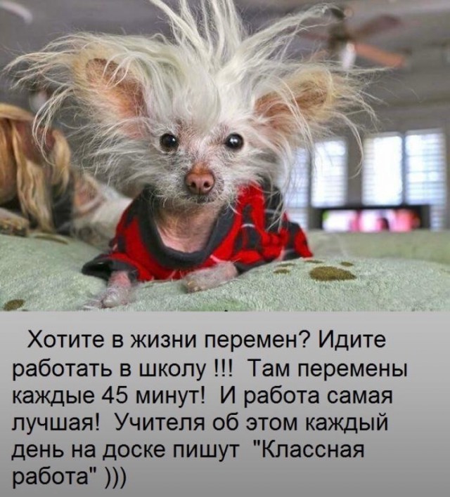 Подборка интересных и веселых картинок