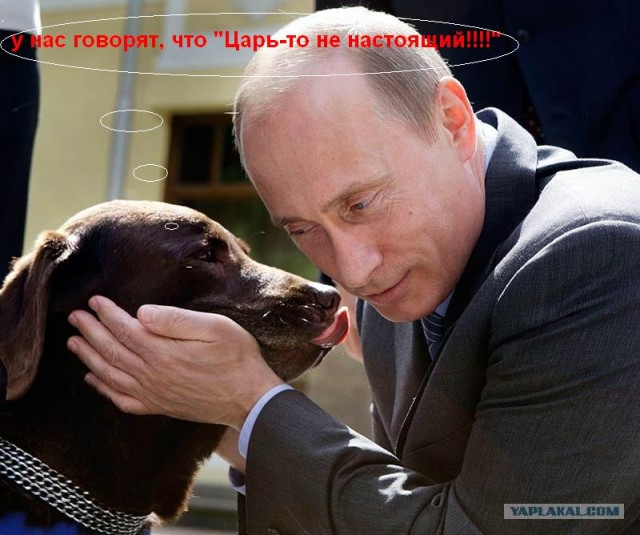 Путин и лабрадор