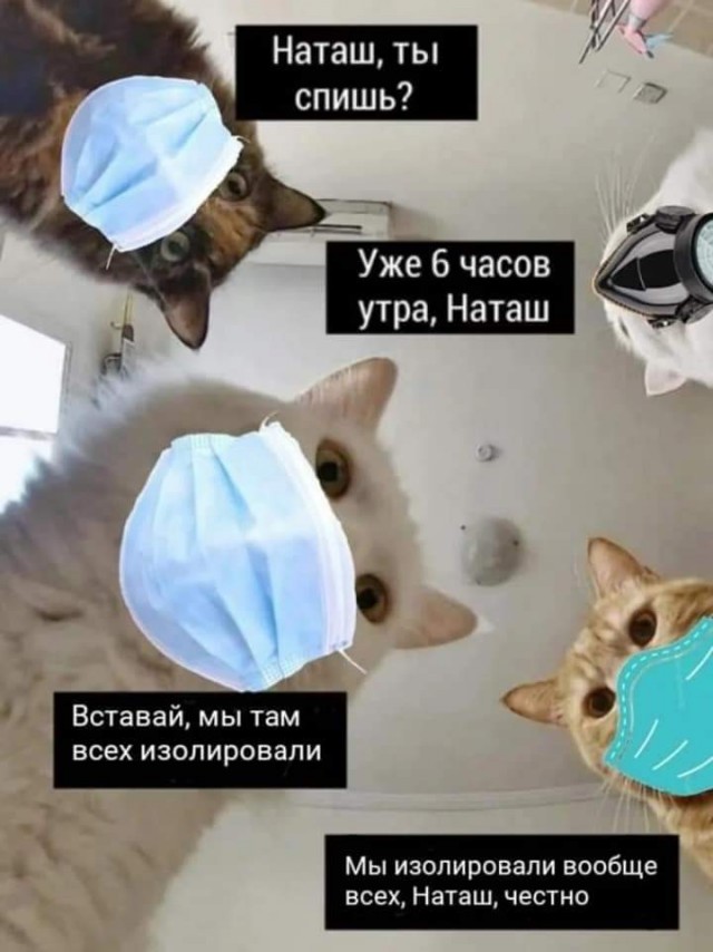 Наташа! Вставай уже!